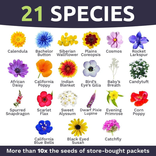 Bulk Wildflower Seeds - 1/4 Pound Bag - Annual Quick Blooming Mix - Over 30,000 Seeds - Perfect for Gardens and Landscapes
