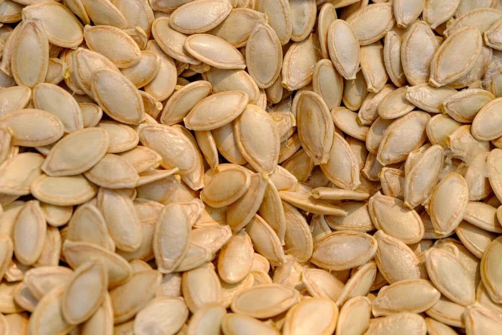 Delicata Squash Seeds for Planting - 20 Jester Seeds - Cucurbita Pepo - Heirloom, Organic, Non-GMO