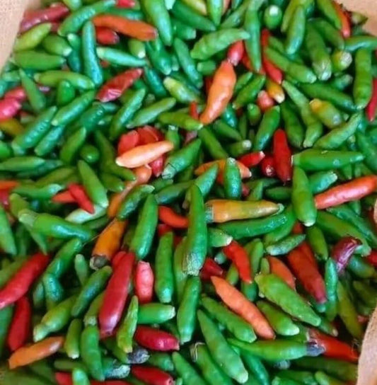 Bird's Eye Chili Pepper Seeds - 30+ Non-GMO Siling Labuyo - Buy 2 Get 1 Free