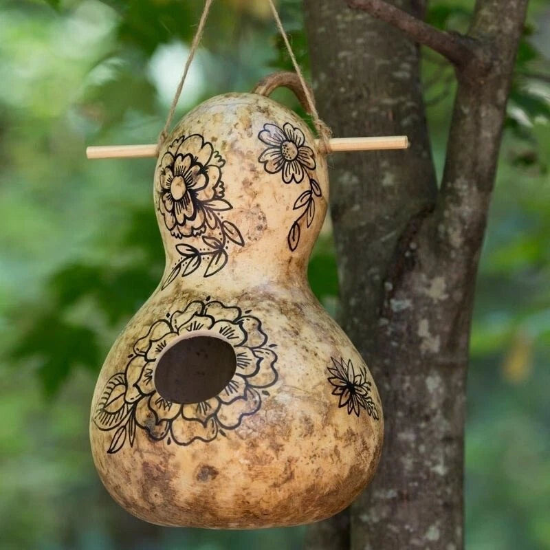 Birdhouse Gourd Seeds, 15 Count, Lagenaria siceraria, Ideal for Crafting and Birdhouses, Free Shipping USA