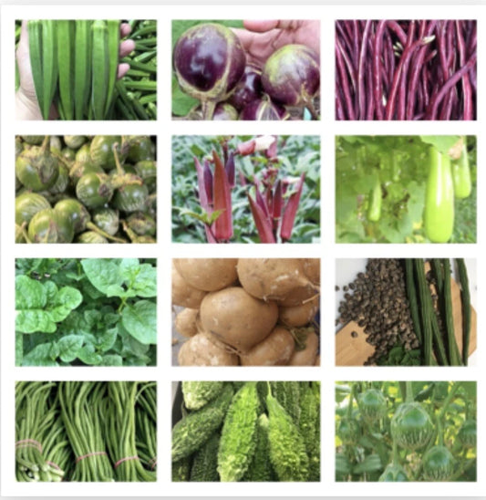 20 Packets Asian Vegetable Seeds for Planting, Non-GMO, Variety Pack for Home Garden, Edible Plants