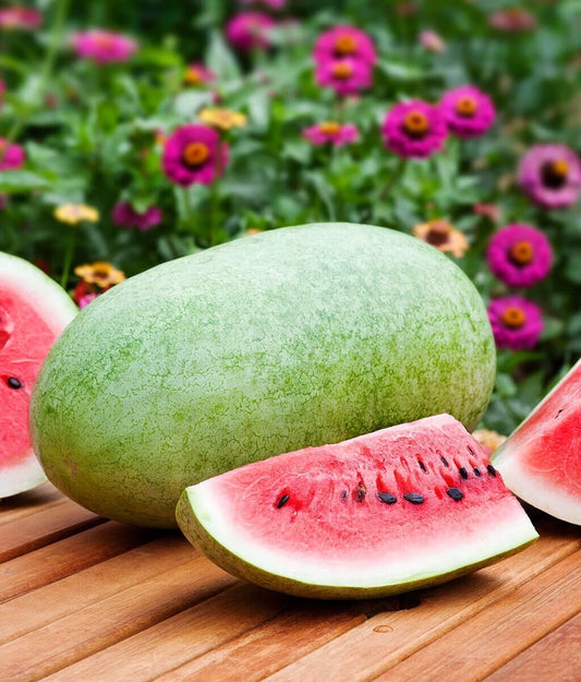 Charleston Gray Watermelon Seeds, 25 Heirloom Non-GMO Seeds, Citrullus lanatus, Free Shipping USA