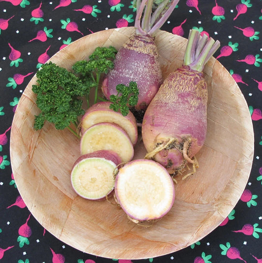 Marian Rutabaga Seeds - 500+ Seeds for Garden Planting - Brassica napus - USA Grown - Heirloom Quality
