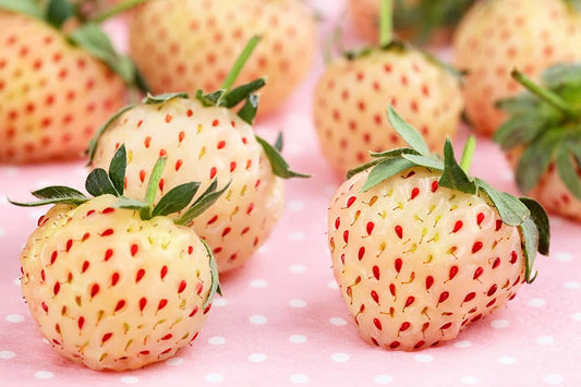 500 White Strawberry Seeds - Pineberry - USA Grown - Ideal for Planting - Non-GMO - Ships from Iowa