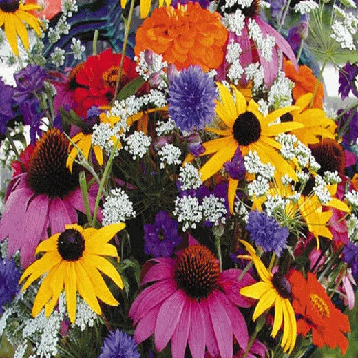 Annual Cutflower Wildflower Seed Mix - Fresh Wildflower Seeds for Garden - Non-GMO Seed Blend