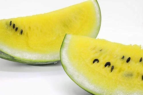 Dwarf Yellow Watermelon Seeds - 25 Pack - Petite Yellow Fruit - Citrullus lanatus