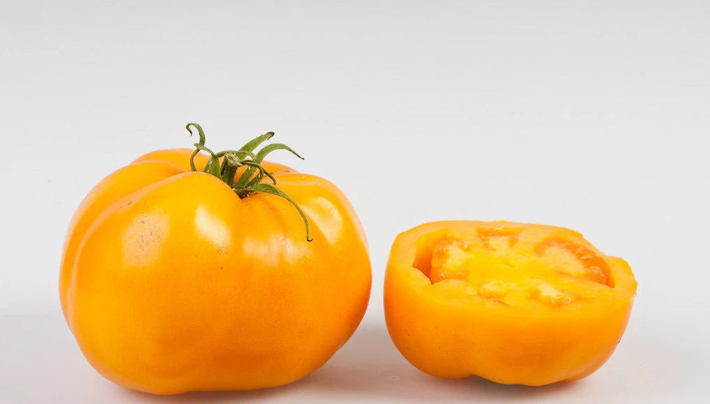 Sunray Tomato Seeds - Heirloom Variety - Low Acid, Meaty Interior - 20 Count Packet - Solanum lycopersicum