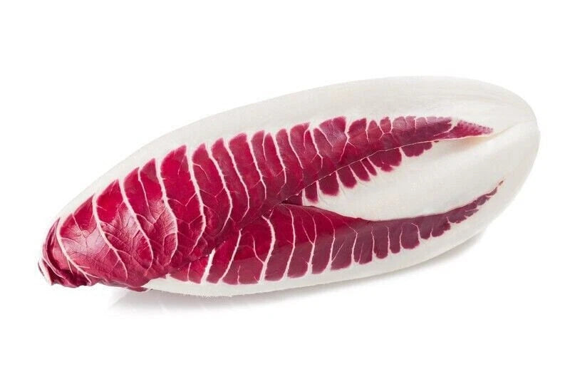 Red Treviso Endive Seeds - Heirloom Non-GMO Seeds - Chicorium intybus - Tracking Included