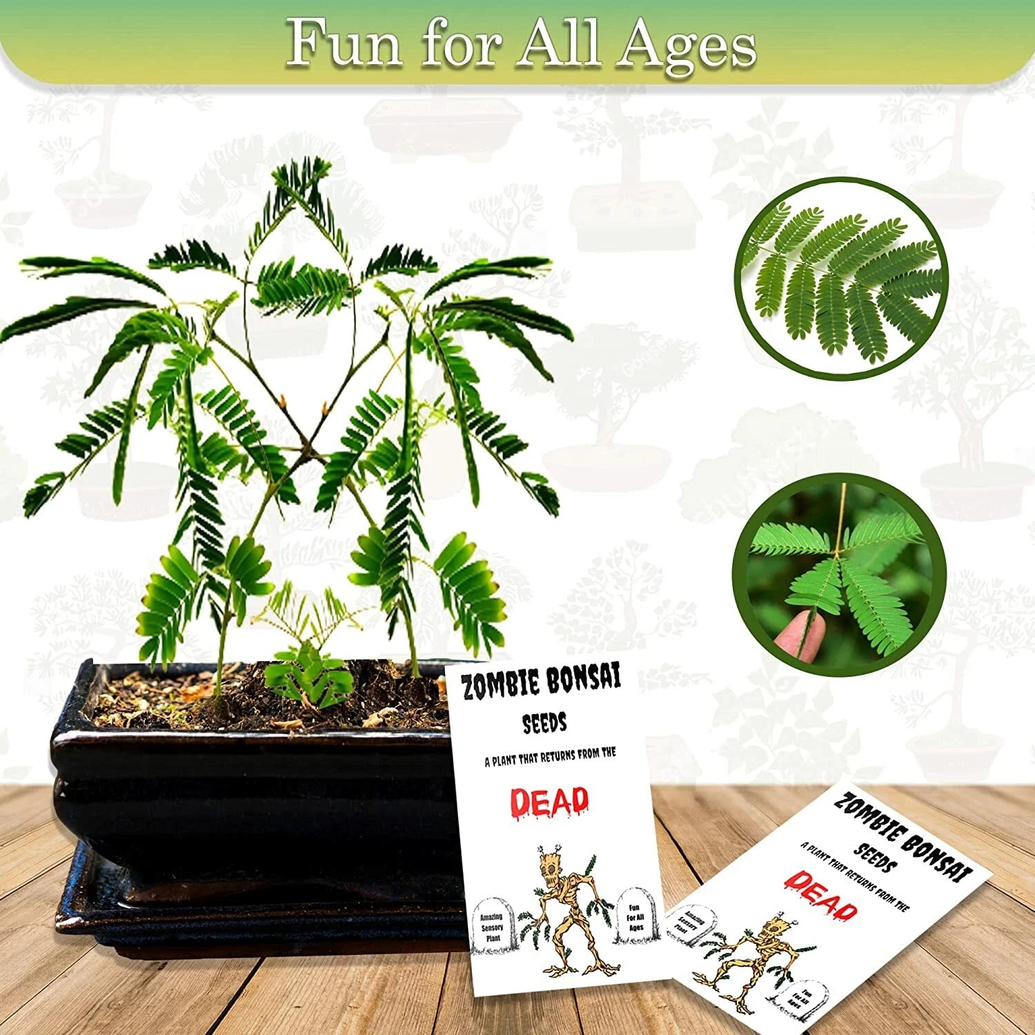 Zombie Bonsai Seed Packets (2 Pack) Sensory Plant - Touch-Reactive Bonsai Seeds for Unique Gardening Experience