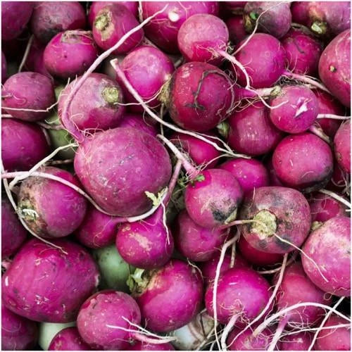 Purple Plum Radish Seeds 200 Ct Heirloom NON-GMO Vegetable Garden Seeds Raphanus sativus