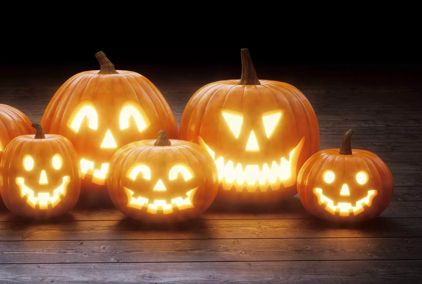 Jack O' Lantern Pumpkin Seeds - 20 Seeds - Medium Sized, Symmetrical Fruit - Cucurbita pepo