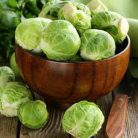Brussels Sprouts Seeds - Long Island Improved - Non-GMO Heirloom - Brassica oleracea