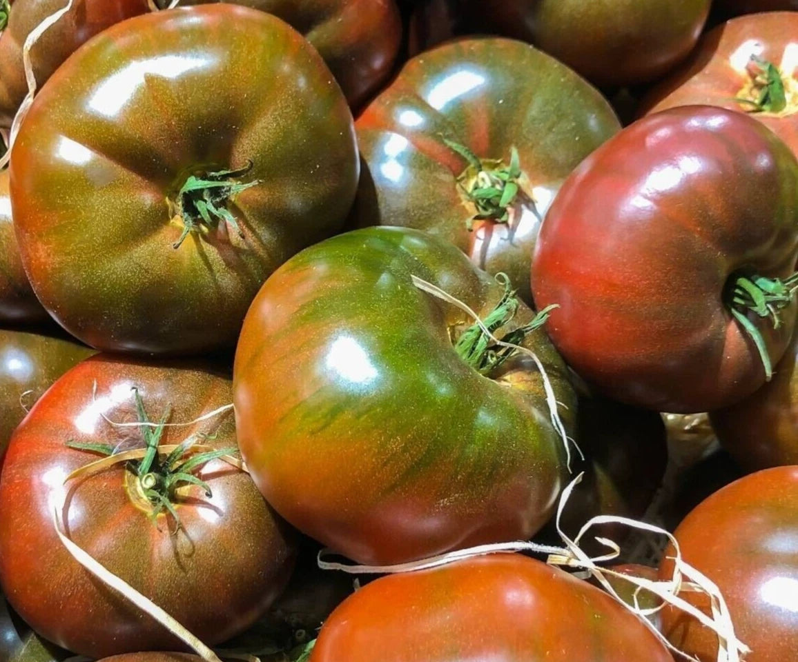 Black Krim Tomato Seeds - 100+ Indeterminate Russian Vegetable Seeds - Heirloom Variety for Home Garden