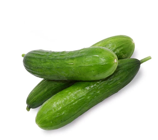 Beit Alpha Cucumber Seeds - Persian Burpless Variety - Non-GMO Cucumis sativus - Free Shipping