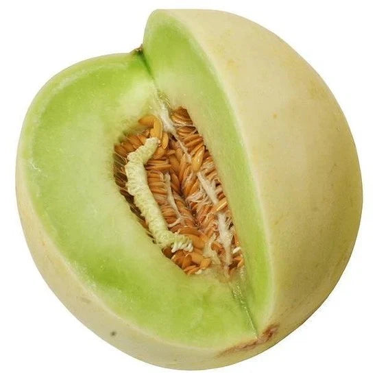 Honeydew Seeds - Organic Heirloom Green Flesh Winter Melon - NON-GMO - 50+ Seeds