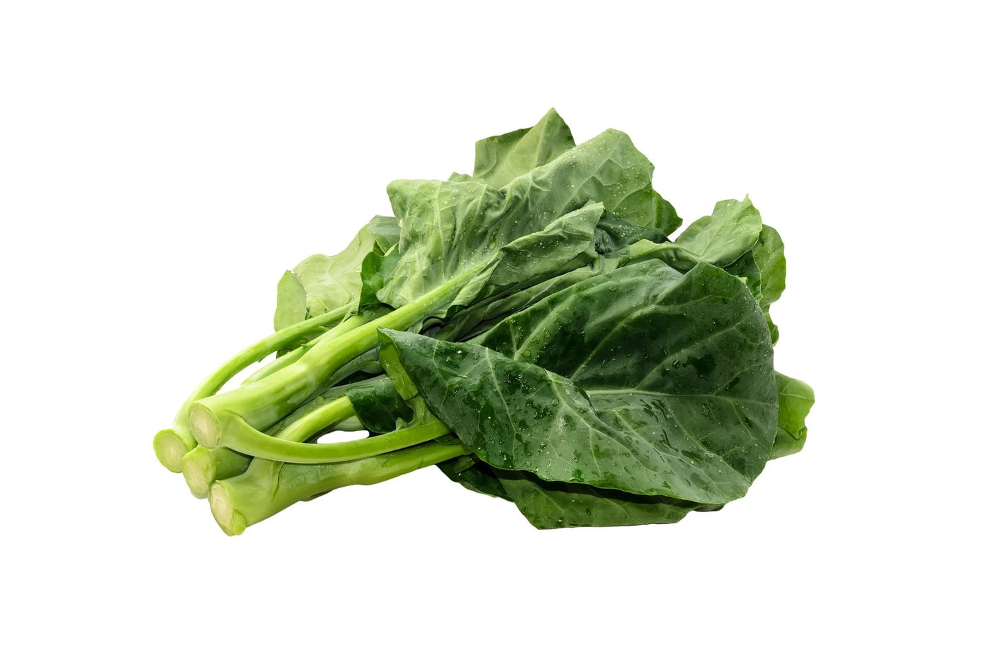 Gai Lan Seeds - Heirloom Asian Chinese Broccoli Kale - KAI LANS Variety - Non-GMO Vegetable Seeds for Gardening