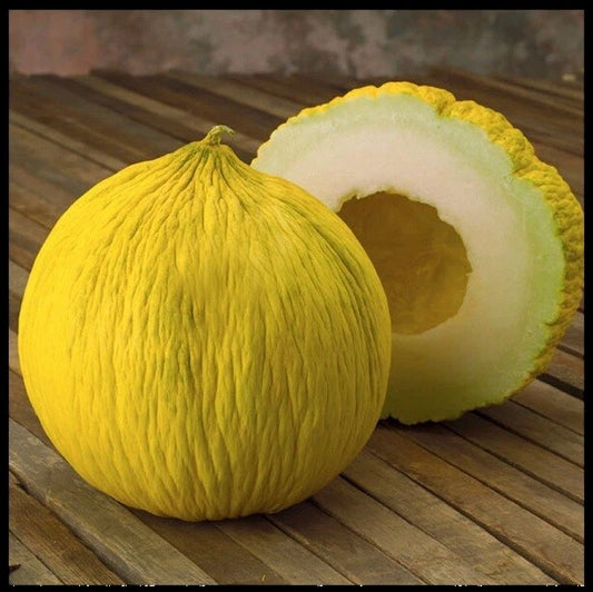 Casaba Melon Seeds - 200 Count Golden Beauty Heirloom Non-GMO Bulk (Cucumis melo)