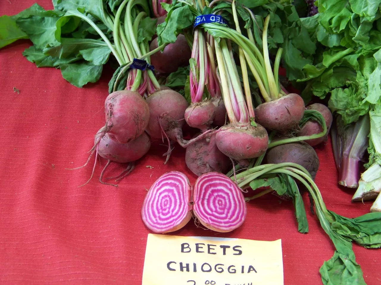 165 Seeds Beet Chioggia Candystripe Bullseye Beet - Beta vulgaris - Non-GMO Vegetable Seeds for Home Gardening