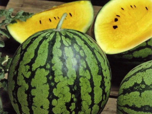 Baby Doll Watermelon Seeds - Fresh Heirloom Seeds for Planting - Citrullus lanatus
