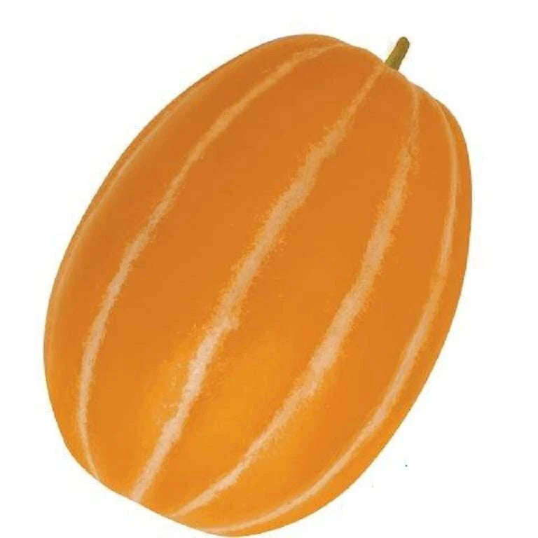 Korean Melon Seeds - 10 Pack - Rare Orange Skinned Melon - Dae Jang Geum (Cucumis melo)