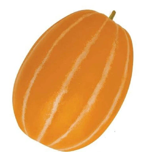 Korean Melon Seeds - 10 Pack - Rare Orange Skinned Melon - Dae Jang Geum (Cucumis melo)