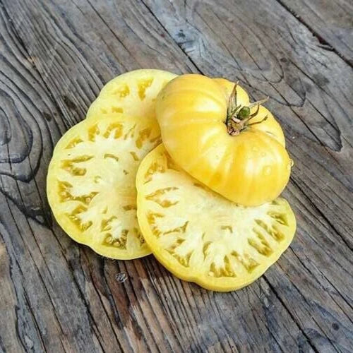 25 Heirloom Tomato Seeds - White Wonder Beefsteak - Freshly Harvested - Solanum lycopersicum