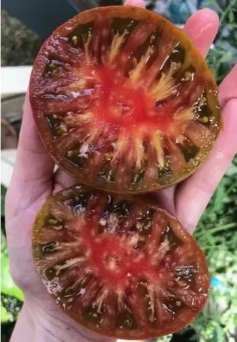 Black Brandywine Tomato Seeds - Heirloom Organic NON-GMO - 30+ Seeds - Solanum lycopersicum