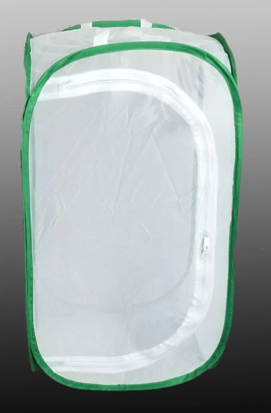 Butterfly Habitat 12x12x24 Large Enclosure for Raising Monarchs & More, Ideal for Home Butterfly Garden