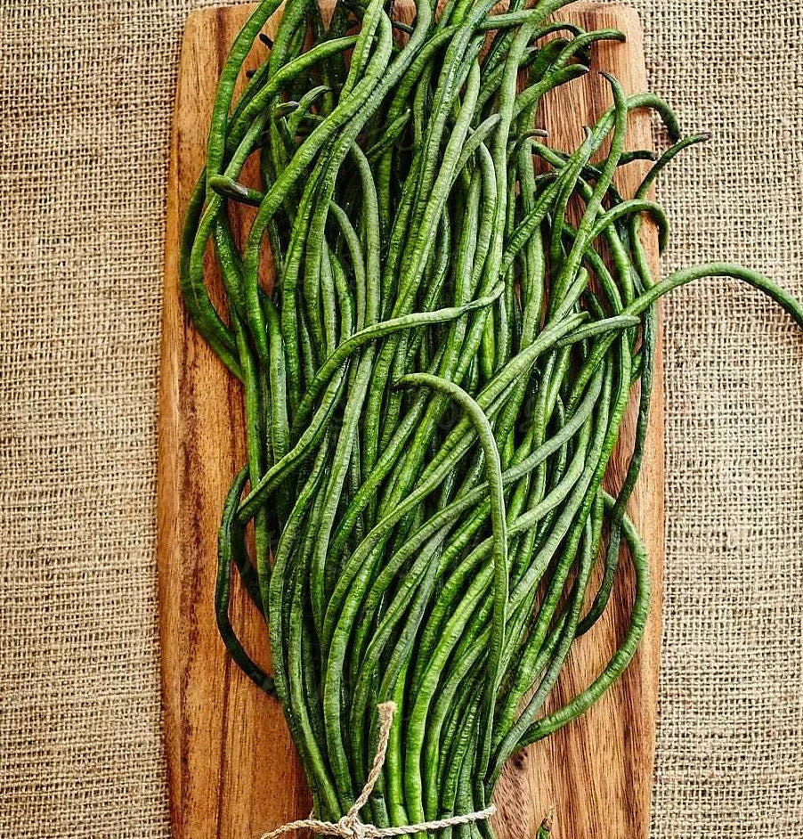 Yard Long Bean Seeds - Yu Long Variety, Chinese Green Beans, Asian Snake Pods - 2025 Seed Pack