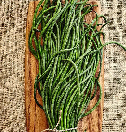 Yard Long Bean Seeds - Yu Long Variety, Chinese Green Beans, Asian Snake Pods - 2025 Seed Pack