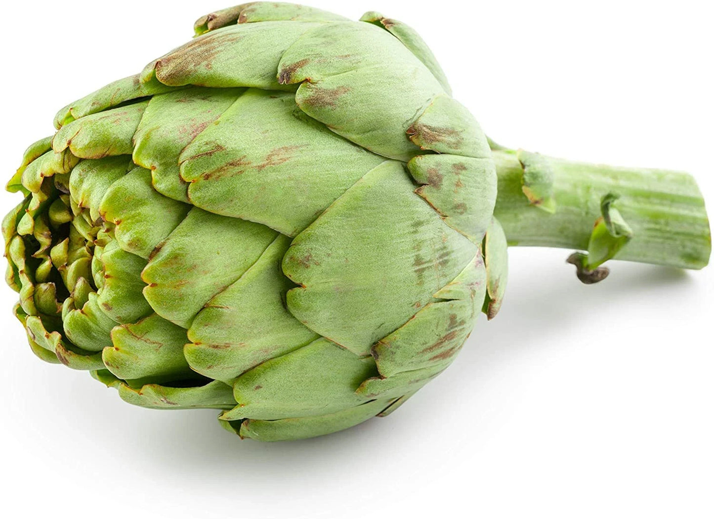 30 Exotic Globe Artichoke Seeds - Rare Garden Vegetable, Cynara scolymus, Heirloom Variety for Home Planting