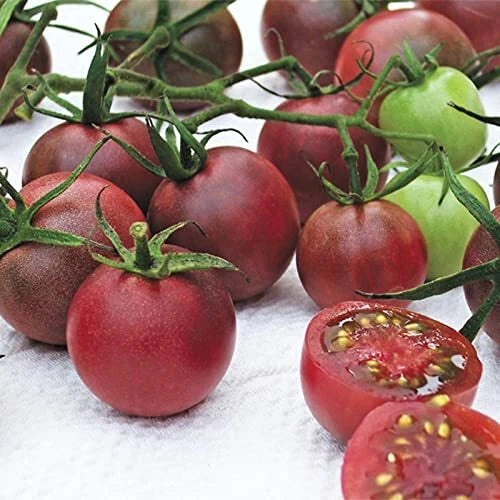 Chocolate Cherry Tomato Seeds - 40+ Non-GMO Seeds - Heirloom Variety - Solanum lycopersicum