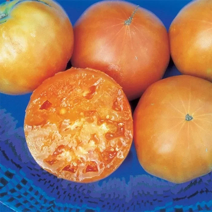 Kellogg's Breakfast Tomato Seeds - 120+ Heirloom Organic Non-GMO - Rare Variety - Solanum lycopersicum