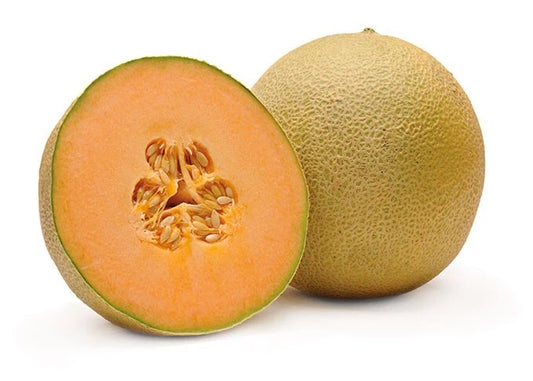Cantaloupe Melon Seeds - 5 Pack - Sweet Variety - Cucumis melo - Free USA Shipping