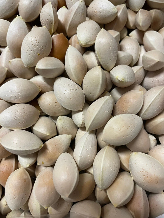 Ginkgo Biloba Seeds - Fresh Maidenhair Tree Seeds - 10 Pack - USA Seller - Nov 2024 Harvest