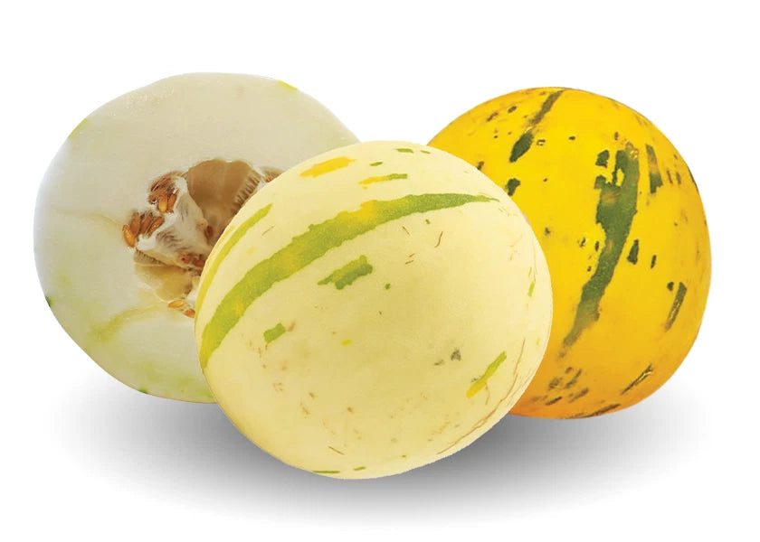 Picasso Melon Seeds - Non-GMO Sweetest Melon Variety - Cucumis melo