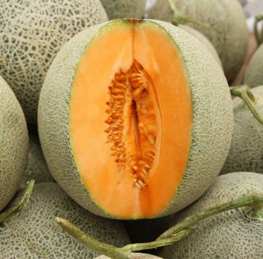 100 Non-GMO Melon Seeds for Gardens - Delicious Variety - Perfect for Home Growing - Ideal for Planting and Harvesting