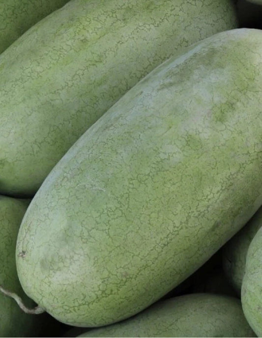 Charleston Gray Watermelon Seeds, 20 Count, NON-GMO, Huge Fruit, Citrullus lanatus