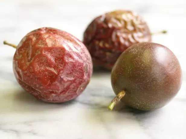 Purple Passionfruit Plant 6-12" Passiflora Edulus Live Pesticide-Free Possum Purple Variety