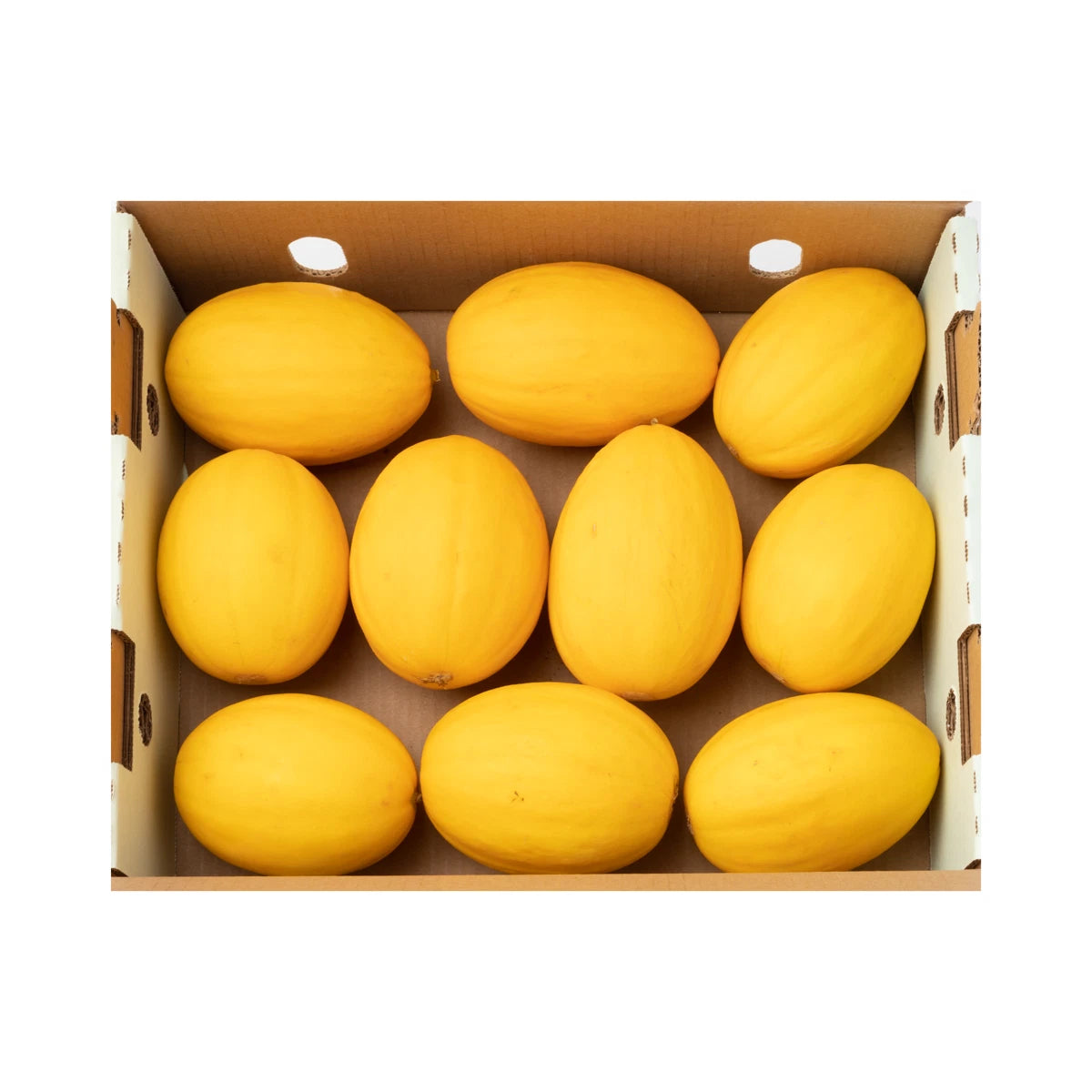 Korean Asaki Melon Seeds - 20 Pack - Sweet & Crisp - Cucumis melo