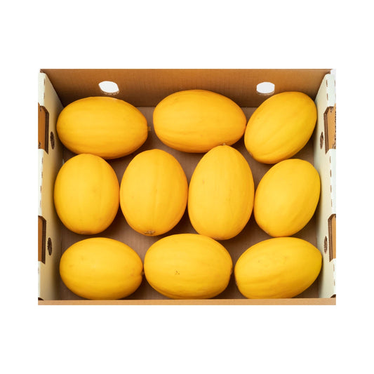 Korean Asaki Melon Seeds - 20 Pack - Sweet & Crisp - Cucumis melo