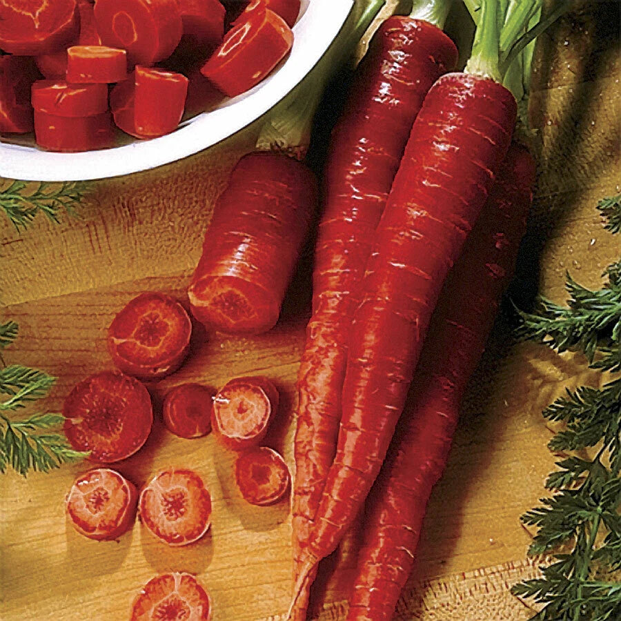 Atomic Red Carrot Seeds - 300 to 4,000 Seeds, Rare Variety, High Lycopene Content, Daucus carota