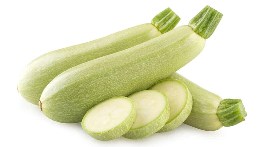 Bianco di Trieste Zucchini Squash Seeds - 25+ Seeds for Planting - High Yield Variety - Cucurbita pepo