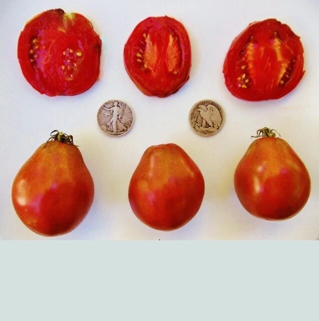 Japanese Black Trifele Tomato Seeds - Rich, Complex Flavor - +25 Seeds - Heirloom Variety for Home Gardening