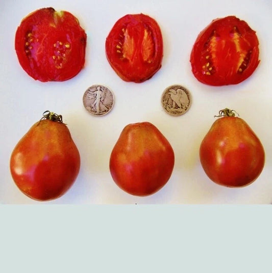 Japanese Black Trifele Tomato Seeds - Rich, Complex Flavor - +25 Seeds - Heirloom Variety for Home Gardening