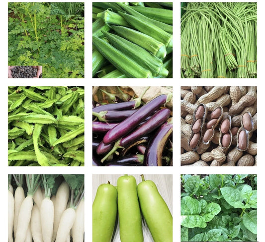 Asian Vegetable Seeds Packets - 20 Variety Collection for Home Gardening - Non-GMO, Heirloom, Organic Seeds