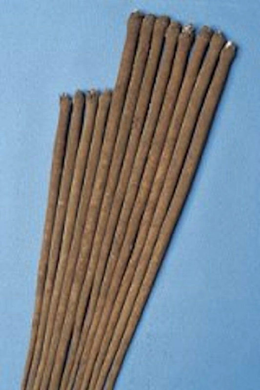 Burdock Gobo Seeds - Non-GMO Watanabe Early Variety - Arctium lappa - Heirloom Vegetable Seeds with Tracking Included