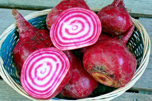 Chioggia Beet Seeds - Italian Heirloom Vegetable Garden Variety - Easy to Grow for Patio and Container Gardening