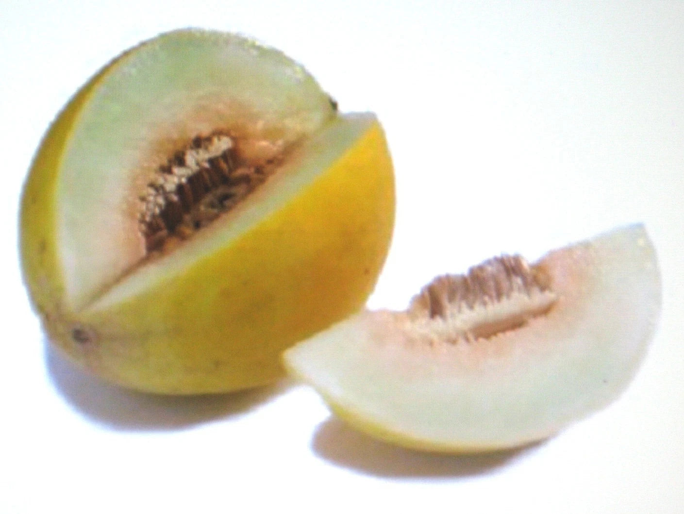 Canary Yellow Melon Seeds - 25 Seeds - Sweet & Healthful - Cucumis melo