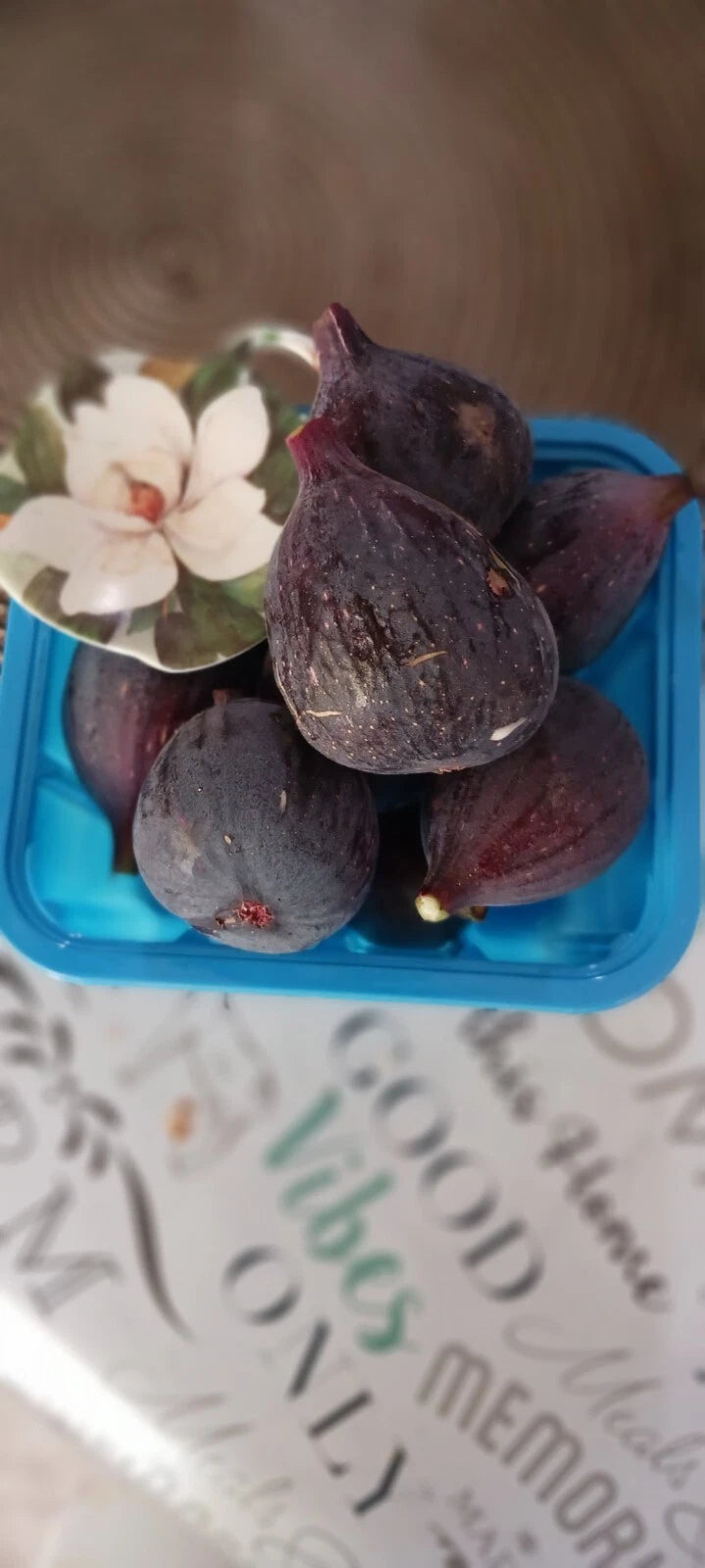 Black Mission Fig Cuttings 6" or Longer - Dormant Propagation Scions - Ficus carica